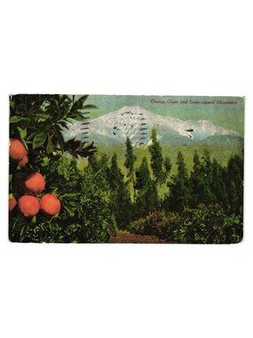 Vintage 1912 Orange Grove Snow Capped Mountains Postcard Written Los Angeles
